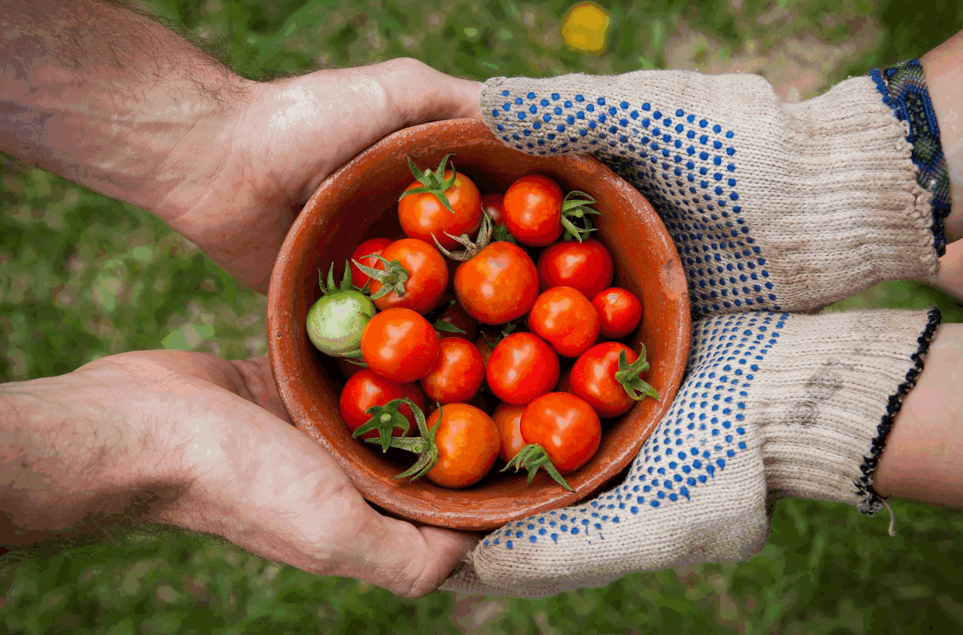 Étendre la Sécurité sociale à l’alimentation: pourquoi pas?