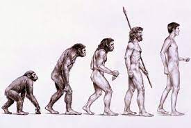 Note sur "Le rôle du travail dans la transformation du singe en homme" de Friedrich Engels